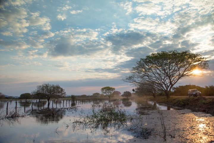 Pantanal - Photo by Pantanal